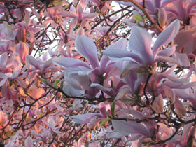Punishment Tree